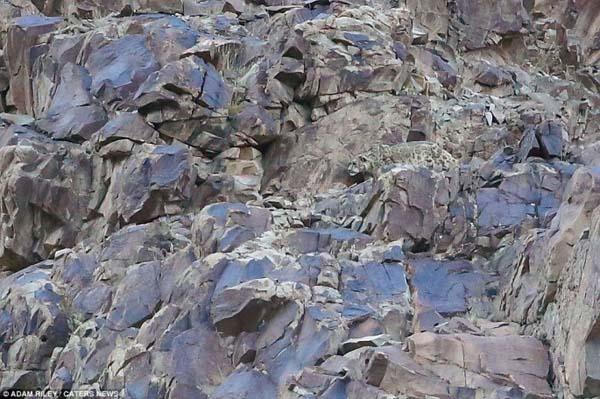 A fost surprins pentru prima dată, în această fotografie. "Am asistat la un atac supranatural" 257540