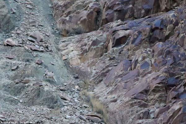 A fost surprins pentru prima dată, în această fotografie. "Am asistat la un atac supranatural" 257541