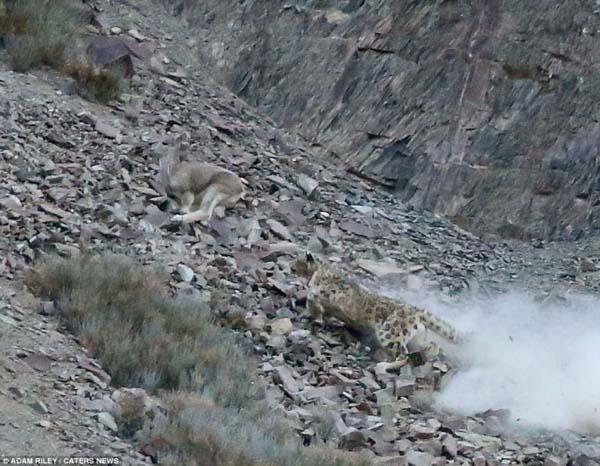 A fost surprins pentru prima dată, în această fotografie. "Am asistat la un atac supranatural" 257543