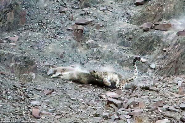 A fost surprins pentru prima dată, în această fotografie. "Am asistat la un atac supranatural" 257544