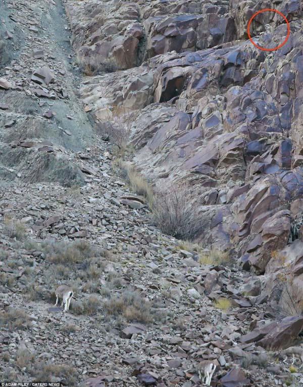 A fost surprins pentru prima dată, în această fotografie. "Am asistat la un atac supranatural" 257546