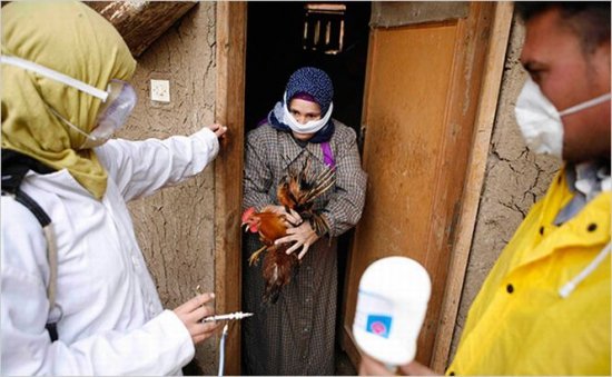 China anunță primul deces provocat de virusul gripei aviare H5N6