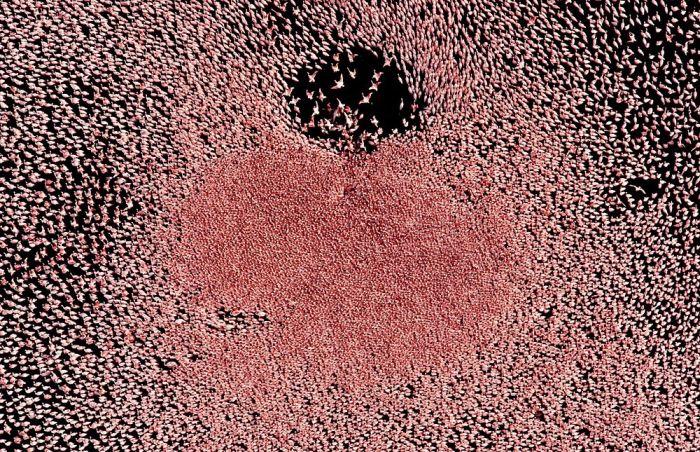 Fotografii impresionante, care sunt 100% reale. "SPECTACOLUL este lângă noi, trebuie doar să-l vedem" 262583