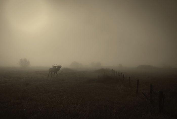 Fotografii impresionante, care sunt 100% reale. "SPECTACOLUL este lângă noi, trebuie doar să-l vedem" 262585