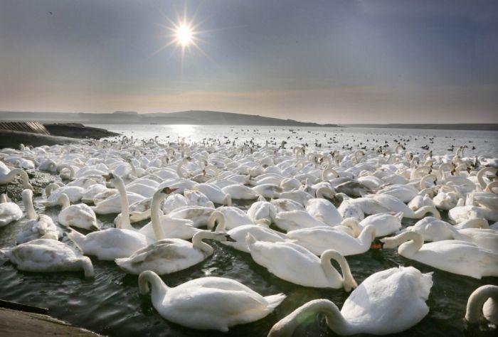 Fotografii impresionante, care sunt 100% reale. "SPECTACOLUL este lângă noi, trebuie doar să-l vedem" 262587