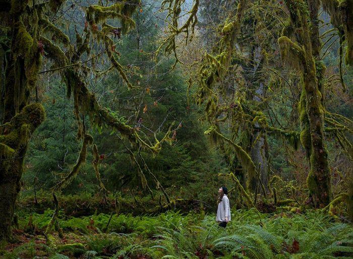 Fotografii impresionante, care sunt 100% reale. "SPECTACOLUL este lângă noi, trebuie doar să-l vedem" 262588