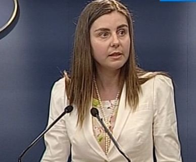 Ministrul de Finanţe, Ioana Petrescu: Taxa pe stâlp şi scutirea de certificate verzi, pot majora preţurile între 0 şi 100%