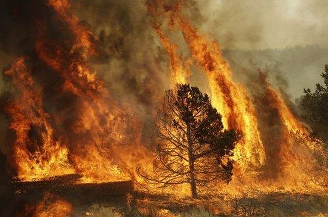 Sute de locuinţe au fost evacuate în sudul Californiei din cauza incendiilor de vegetaţie