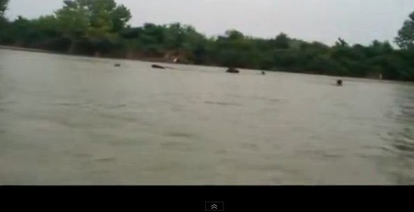Bărbatul care a filmat cum doi oameni mor înecaţi în Jiu, bătut de supravieţuitorul tragediei