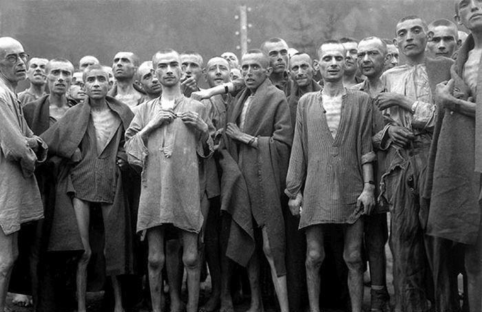 Hitler lua 28 de medicamente în fiecare zi pentru o boală ruşinoasă. Lucruri pe care nu le ştiai despre liderul nazist 264262