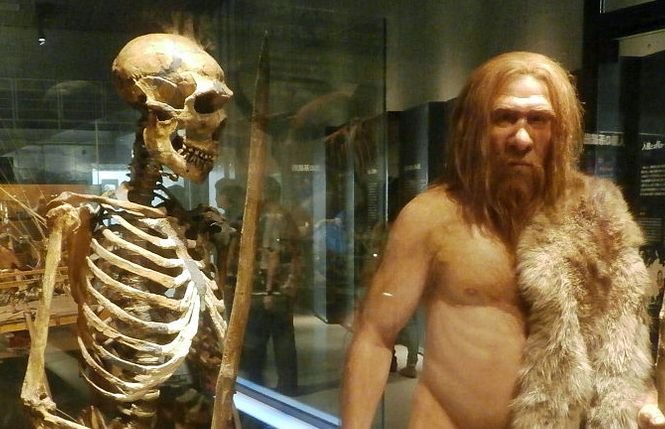 Descoperirea importantă făcută de oamenii de ştiinţă. Omul de Neanderthal are o origine de cel puţin 430.000 de ani
