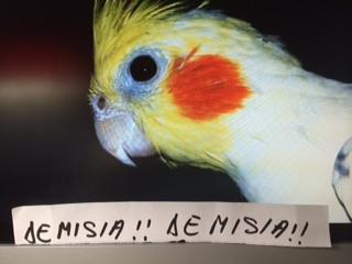 "Nu mai vreau să fii preşedintele ţării mele. Mi-e ruşine cu tine". IMAGINI şi MESAJE trimise pe banipentrubasescu@antena3.ro 264512