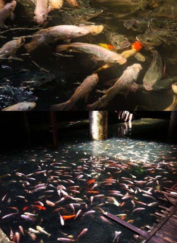 Blestemul celui mai luxos mall. Acum este o ruină, după ce a fost incendiat şi inundat 266100