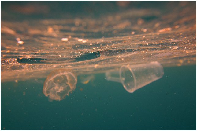 88% din suprafaţa oceanelor, CONTAMINATĂ cu microfragmente plastice
