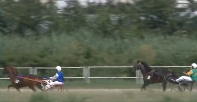 Un nou record la derby-ul de trap al României. Cei mai buni patru cai de curse din ţară s-au aliniat la start