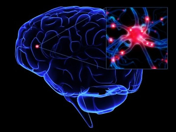 O echipă de cercetători susţine că a descoperit BUTONUL de oprire/pornire din creier, care ar putea ajuta pacienţii să îşi revină din comă