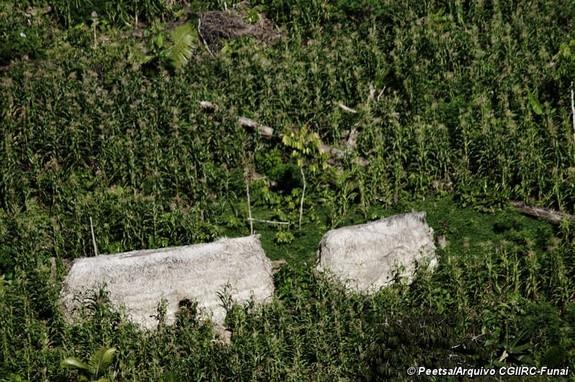 Tribul din Amazon, care nu luase niciodată contact cu oamenii, şi-a părăsit adăpostul. Motivul este revoltător 267079