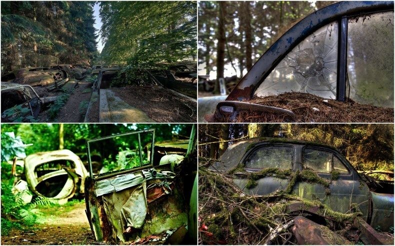 Imaginea inexplicabilă dintr-o pădure belgiană. I se spune &quot;ambuteiajul fantomelor&quot;. Cum au ajuns aceste maşini aici