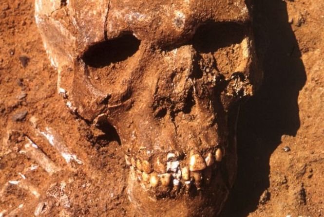 Dovezi ale primului război etnic din lume: Scheletele unor oameni ucişi în urmă cu 13.000 de ani, descoperite în Sahara