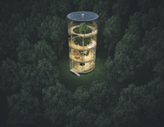 Cum arată uluitoarea casă de sticlă construită în jurul unui copac. &quot;Suntem ascunşi în mijlocul pădurii&quot;