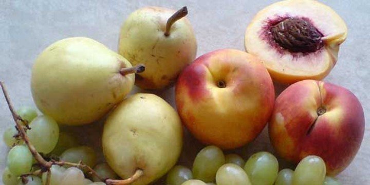 Rusia interzice importul fructelor din Republica Moldova, din cauza unei &quot;insecte periculoase&quot;