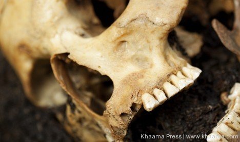 Descoperire uluitoare, în Norvegia. Un craniu de acum 8.000 de ani ar putea conţine materie cerebrală bine conservată