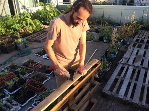 Proiectul uimitor care poate schimba la faţă Bucureştiul. Grădina urbană, pe acoperişul unui bloc din mijlocul Capitalei 269036