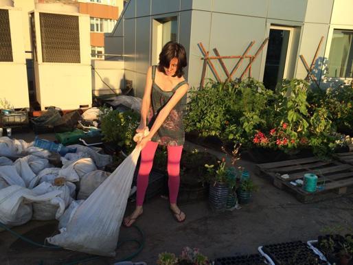 Proiectul uimitor care poate schimba la faţă Bucureştiul. Grădina urbană, pe acoperişul unui bloc din mijlocul Capitalei 269037