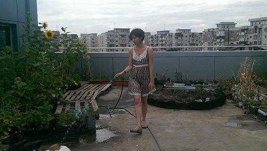 Proiectul uimitor care poate schimba la faţă Bucureştiul. Grădina urbană, pe acoperişul unui bloc din mijlocul Capitalei 269038