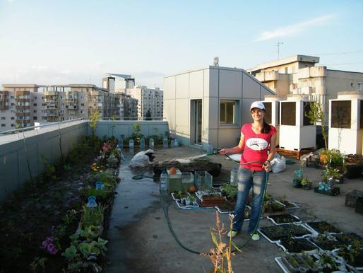 Proiectul uimitor care poate schimba la faţă Bucureştiul. Grădina urbană, pe acoperişul unui bloc din mijlocul Capitalei 269039