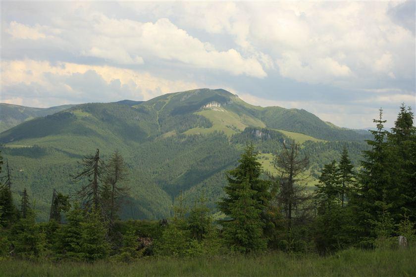 Cum am ajuns să distrugem aceste MIRACOLE ale naturii. Schimbări drastice în inima munţilor din România 269938