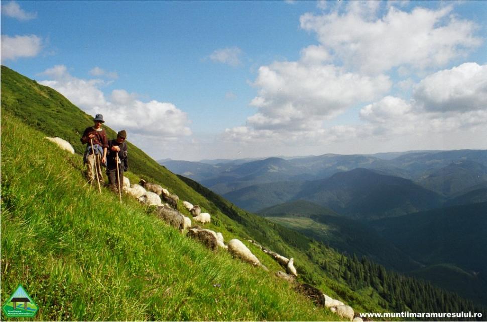 Cum am ajuns să distrugem aceste MIRACOLE ale naturii. Schimbări drastice în inima munţilor din România 269942