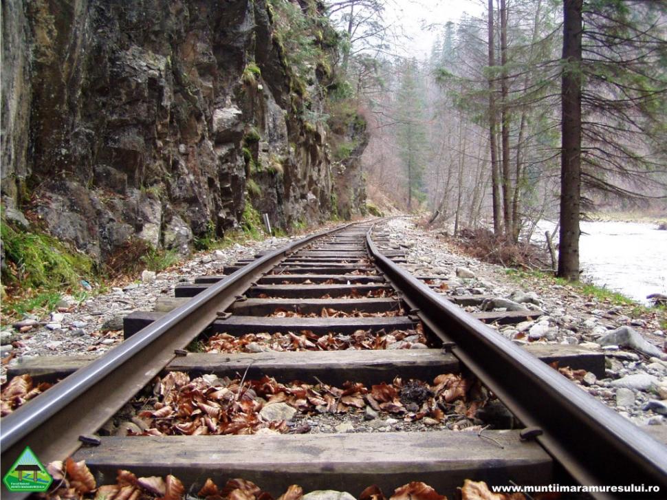 Cum am ajuns să distrugem aceste MIRACOLE ale naturii. Schimbări drastice în inima munţilor din România 269944