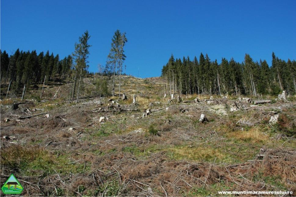 Cum am ajuns să distrugem aceste MIRACOLE ale naturii. Schimbări drastice în inima munţilor din România 269945