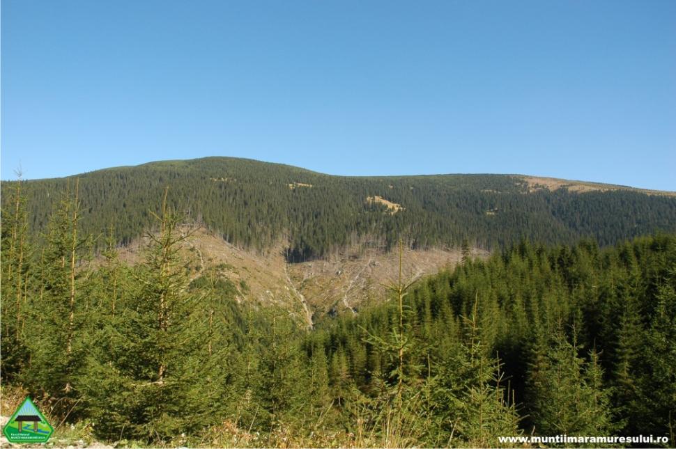 Cum am ajuns să distrugem aceste MIRACOLE ale naturii. Schimbări drastice în inima munţilor din România 269946