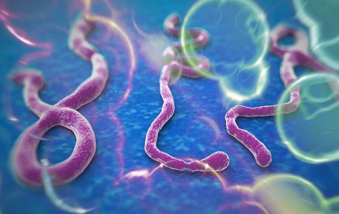 OMS: Epidemia de Ebola avansează mai rapid decât mobilizarea pentru limitarea ei. Consecinţele ar putea fi catastrofale