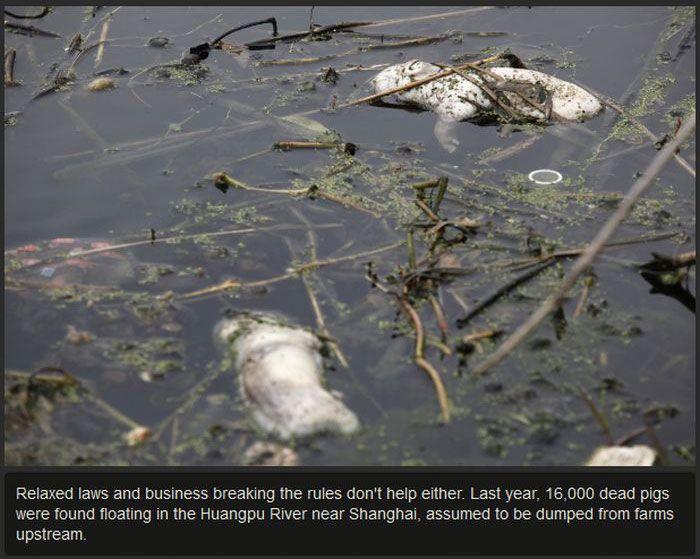 Preţul prea MARE pe care CHINA îl plăteşte acum. "Setea de bani a adus blestemul asupra ţării" 270083