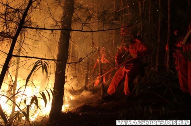 Stare de alertă. Un incendiu masiv de vegetaţie a izbucnit în Suedia