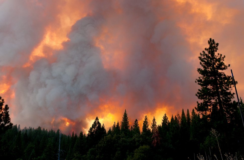 Peste 13.000 de persoane, evacuate în California din cauza incendiilor de vegetaţie