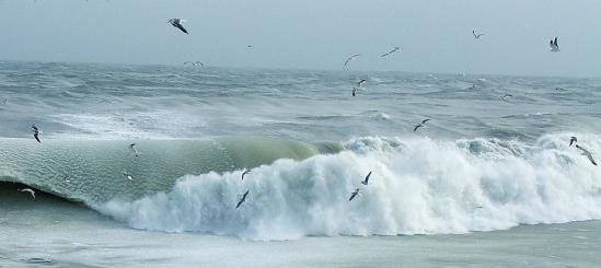 Trei oameni au murit înghiţiţi de valuri pe litoralul românesc