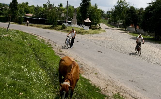Zeci de mii de români renunţă la viaţa de la oraş pentru traiul la ţară