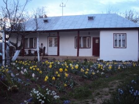 Pentru o Românie mai bună! O localnică din Vrancea a realizat ceea ce autorităţile au eşuat: a înfiinţat o bibliotecă şi un muzeu