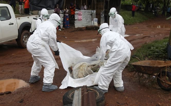 Haite de câini au fost văzute mâncând rămăşiţe ale victimelor epidemiei de Ebola în capitala Liberiei