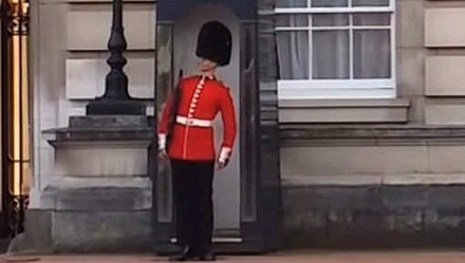 Ce face un soldat plictisit în faţa Palatului Buckingham