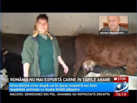 Romania cannot export meat in the Arab countries. Farmers losses are huge