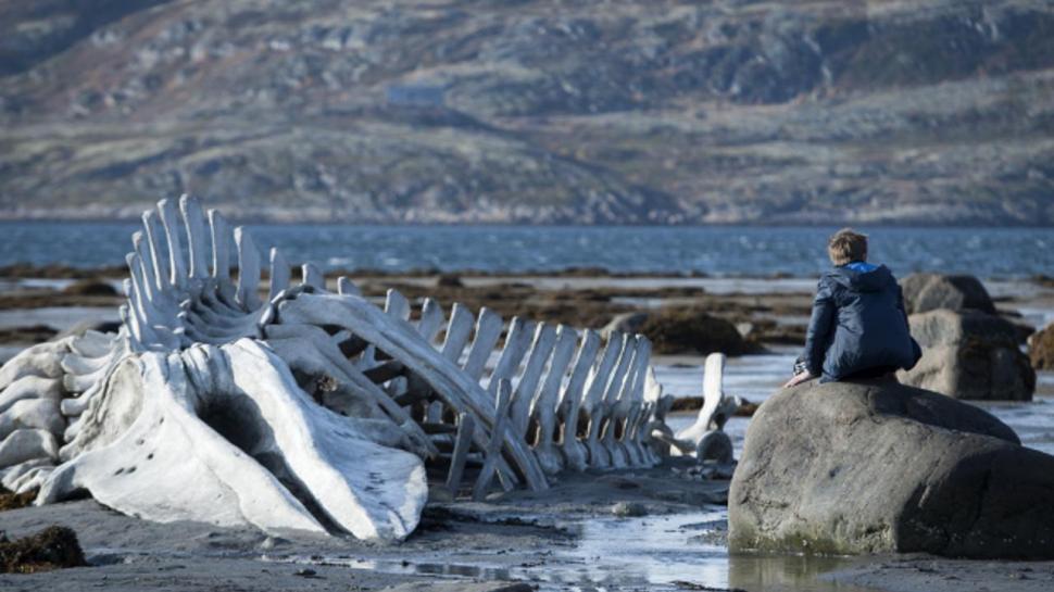 „Leviathan” deschide Les Films de Cannes à Bucarest 274432