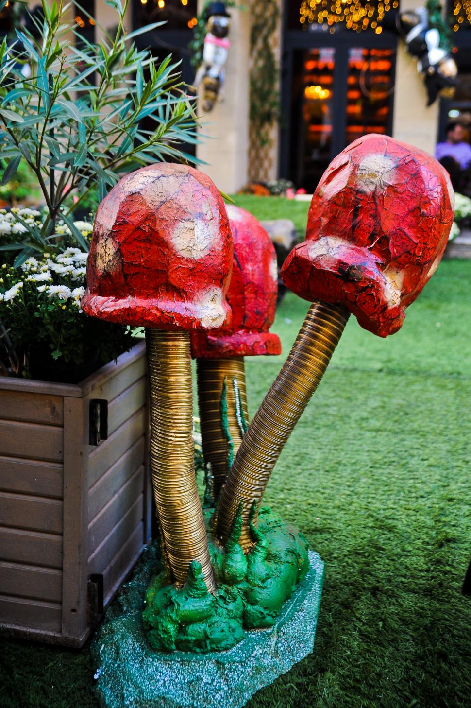 A inceput prima editie FEST pe LIPSCANI 275506