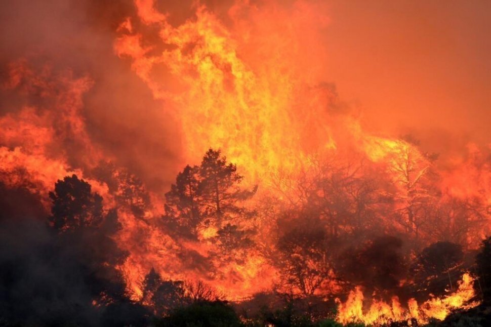 Incendiu masiv de vegetaţie în California. 5.000 de hectare, distruse în trei zile. Focul a scăpat de sub control