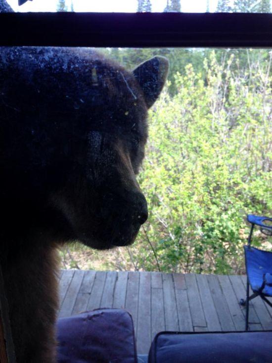 Luau micul dejun, dar au încremenit când s-au uitat pe fereastră. "Am fost prizonieri în propria casă" 276547