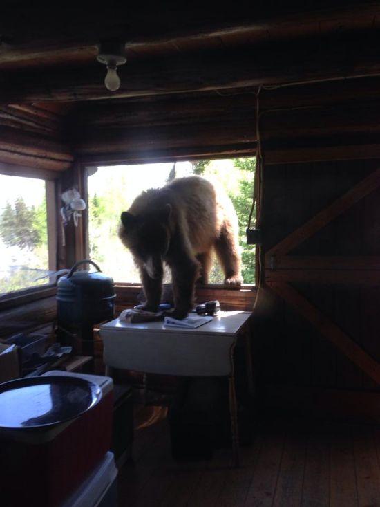 Luau micul dejun, dar au încremenit când s-au uitat pe fereastră. "Am fost prizonieri în propria casă" 276549